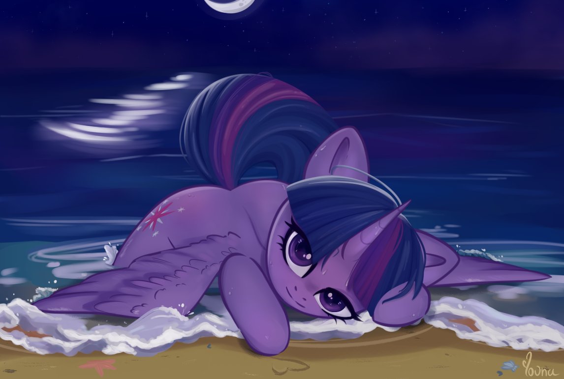 Twilight on a night beach✨