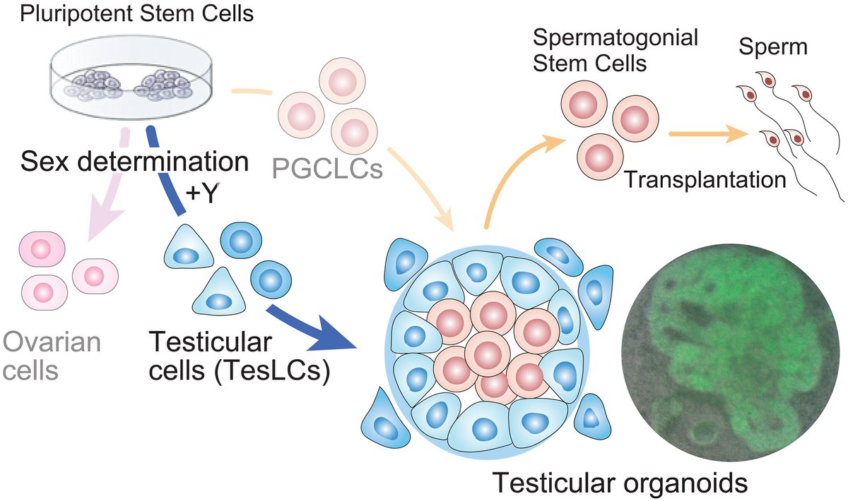 Science Magazine tweet media