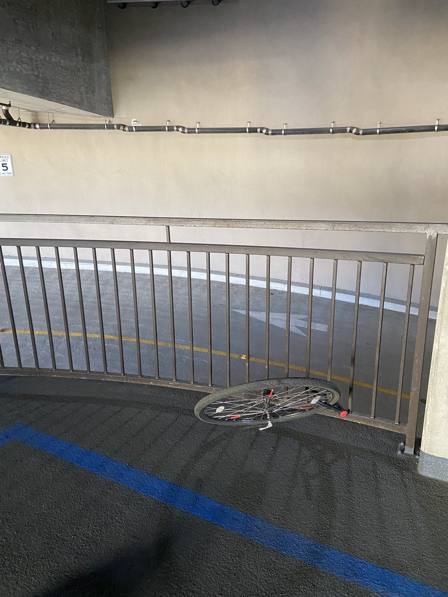 Tsuneyasu Yoshida M.D., Ph.D.🇯🇵→🇺🇸 tweet media