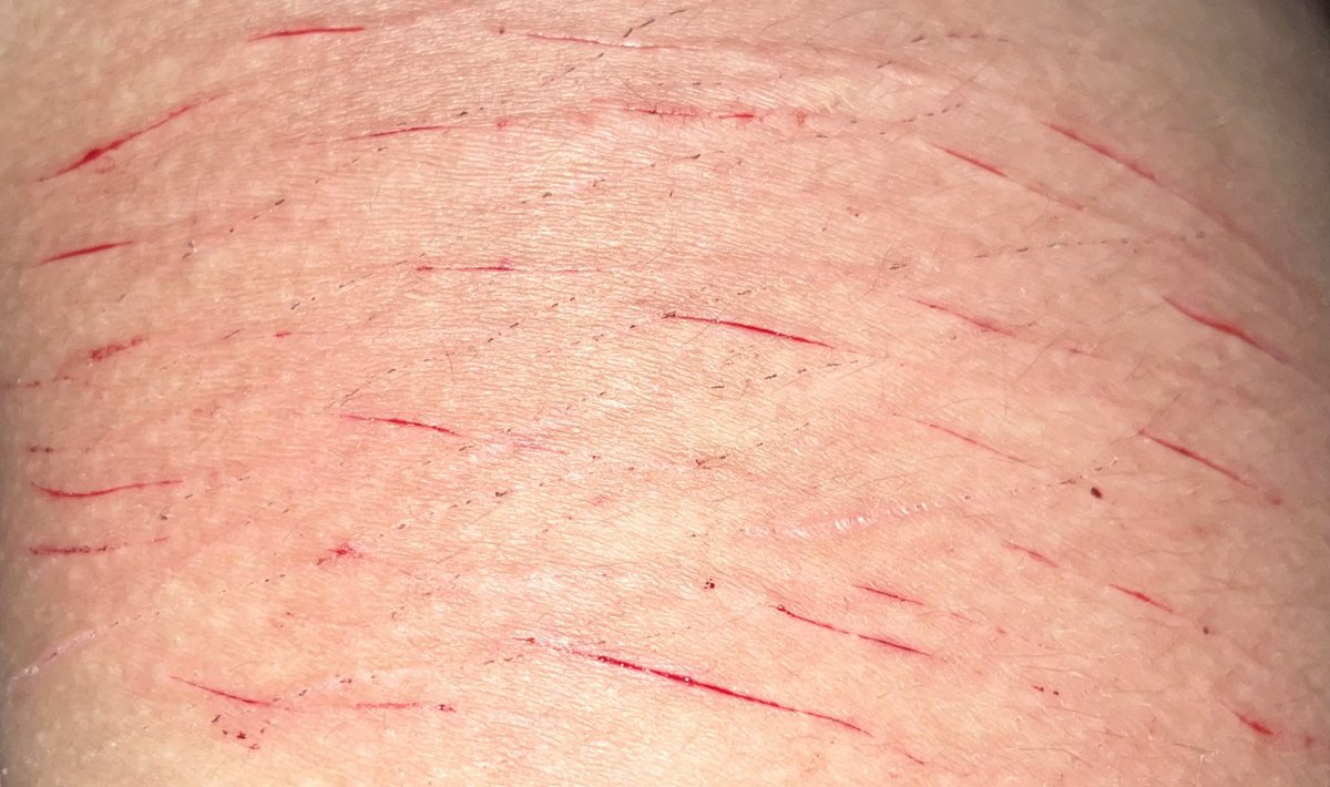 sans of shtwt. tweet media