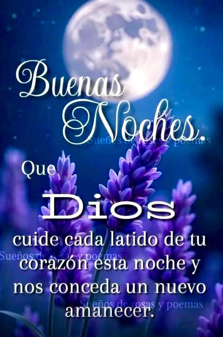 Buenas noches estimados amigos,  que tengan un maravilloso descanso,  hasta mañana D.M.