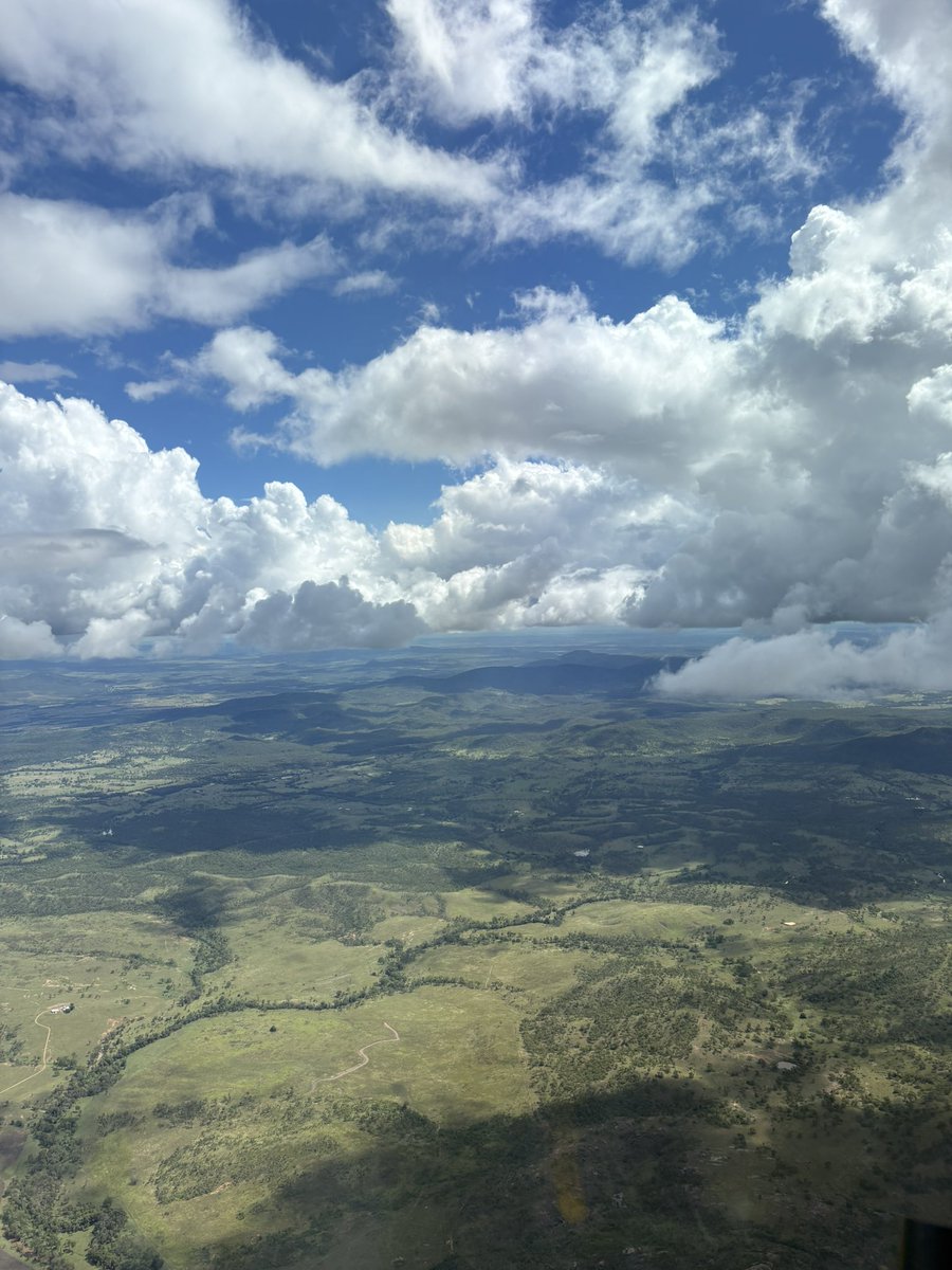 CapRescue tweet media