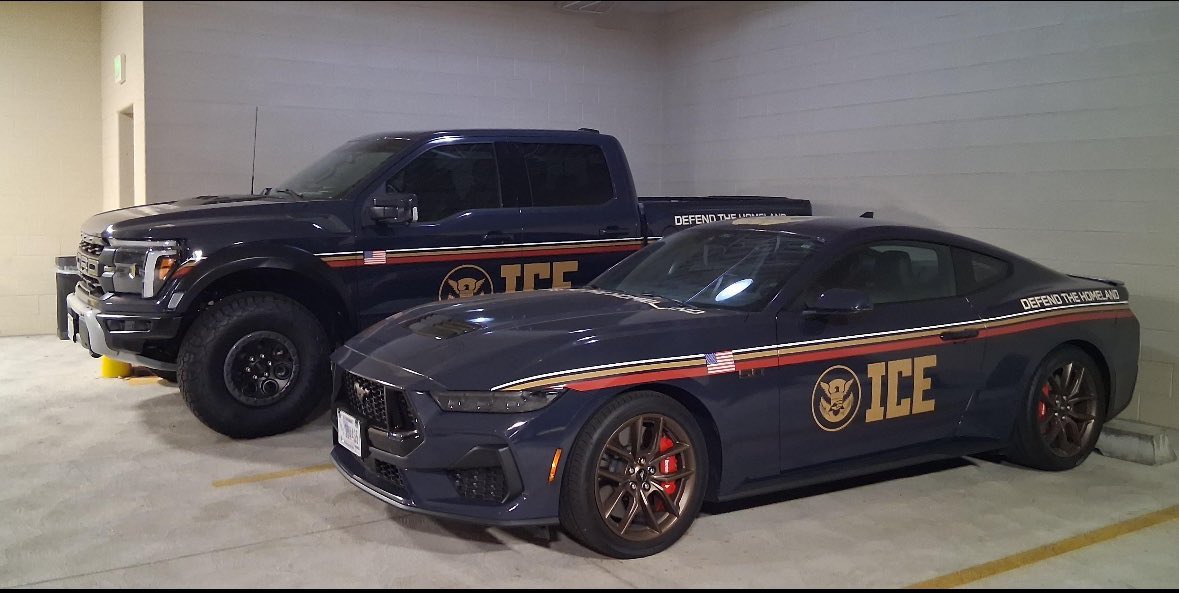 🚨GOVERNMENT WASTE ALERT:

The Trump Admin bought thousands of cars, including Mustangs, and wrapped them in a tacky design. 

They’re collecting DUST in storage!