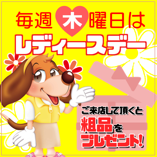 tg_ngt's tweet photo. タイヤガーデン柏崎店です！
本日木曜日はレディースデー🌸
点検だけのご来店も大歓迎！！🙆‍♀️
皆様のご来店お待ちしています😊 https://t.co/vmCsMWsdMQ
