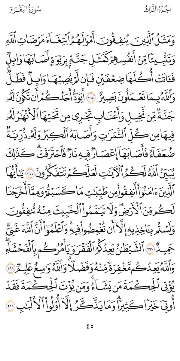 صفحة من القران tweet media