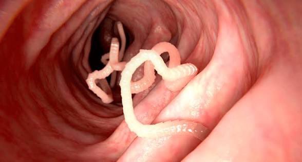 MJTruthUltra tweet media