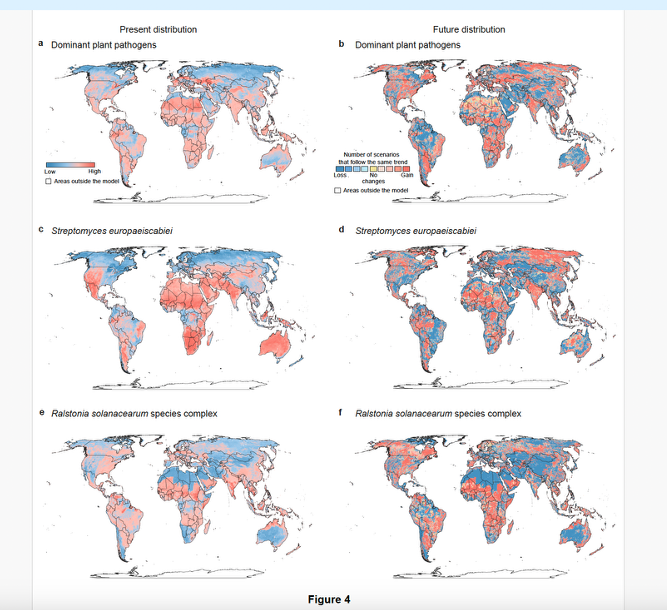 New paper from lab has mapped plant pathogen hotspots worldwide and revealed how soils naturally suppressed plant disease.  In <a href="/NatureComms/">Nature Communications</a> 'Dominance and natural suppression of bacterial plant pathogens across global soils' led by Min Gao 
nature.com/articles/s4146…