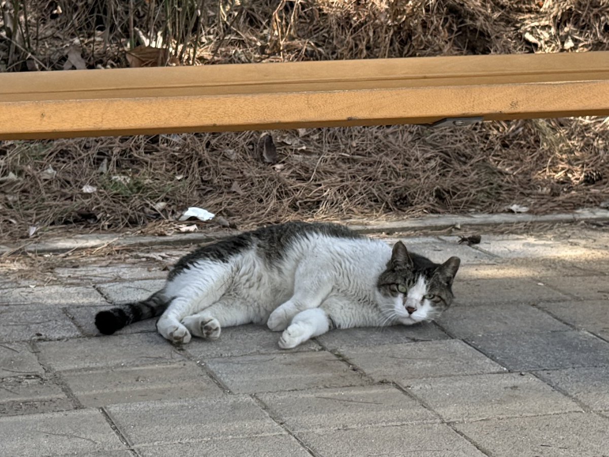 🌙창작자:꽃타래_Flowery Knots✨ tweet media