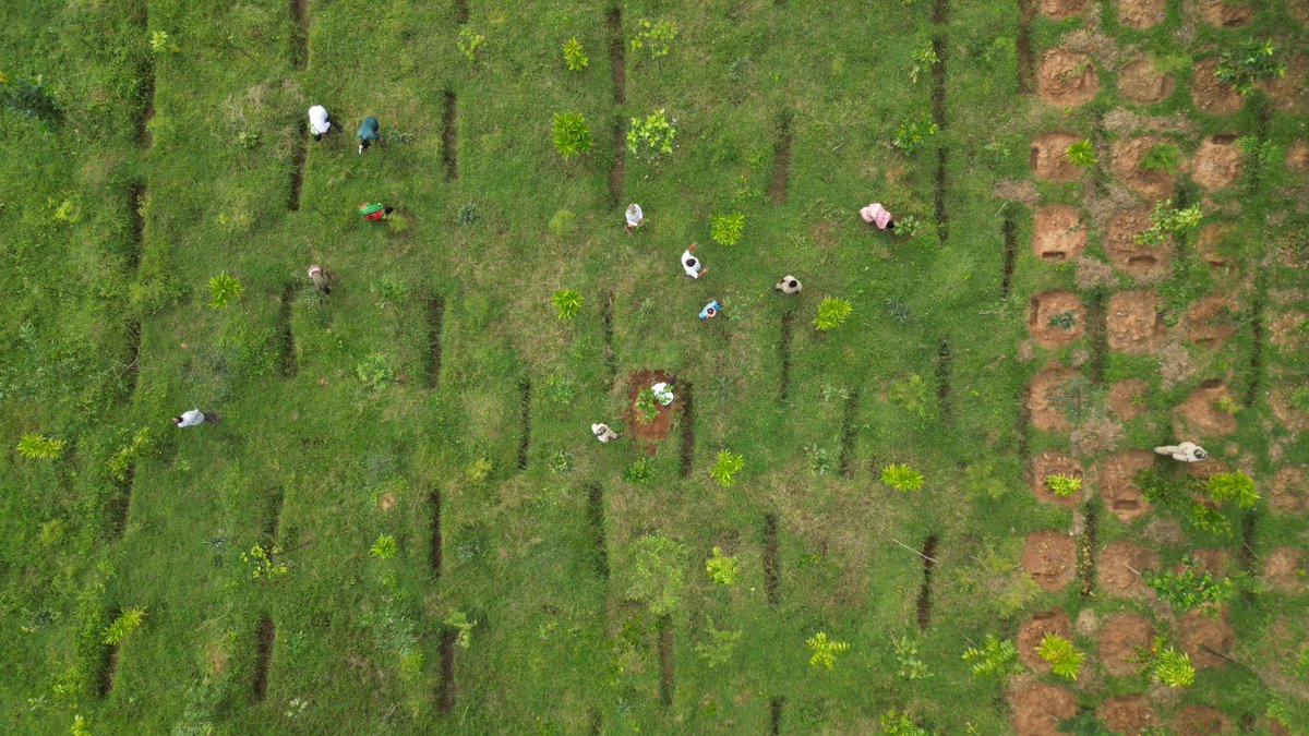 National Authority, CAMPA, MoEF&CC, GoI tweet media