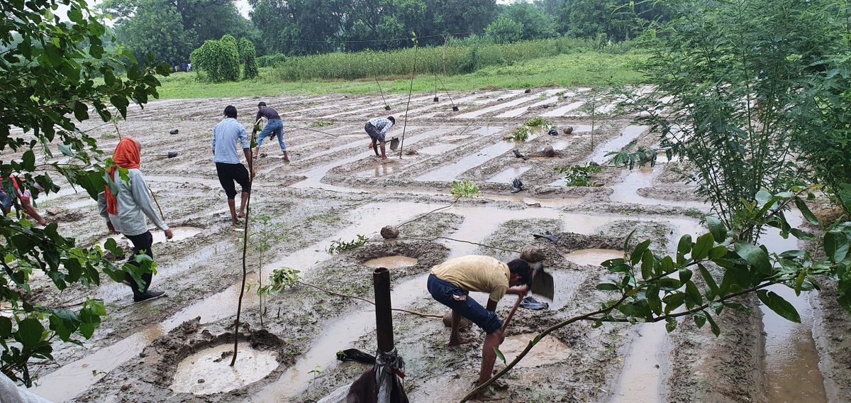 National Authority, CAMPA, MoEF&CC, GoI tweet media