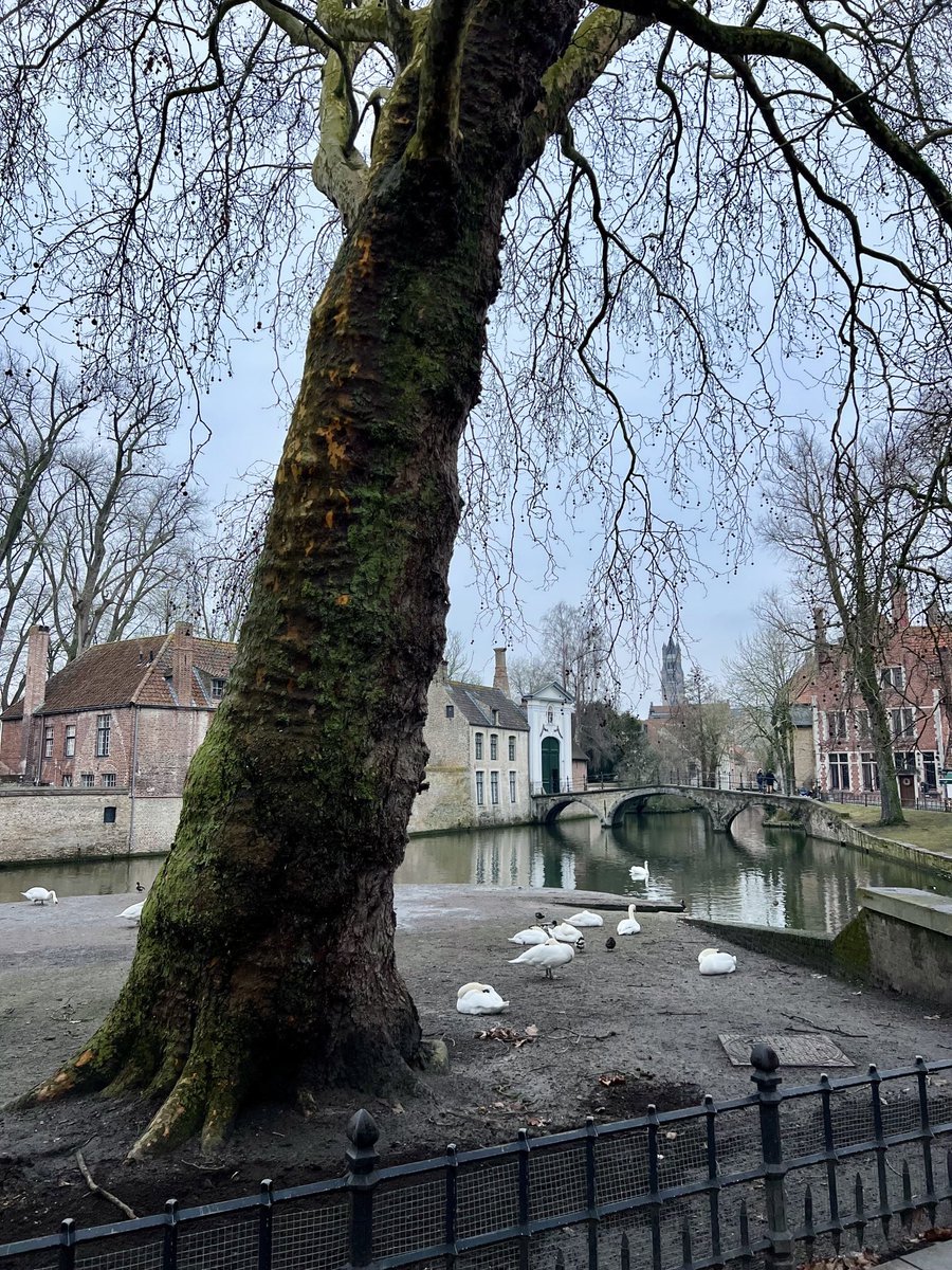 Matthew King tweet media