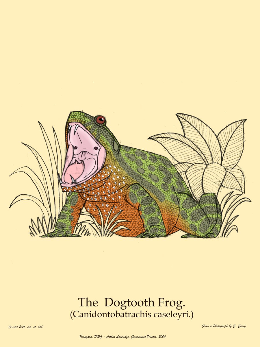 The Ropen tweet media