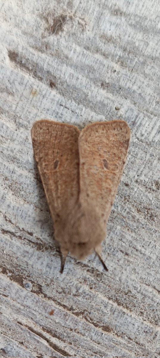 kevin stead tweet media