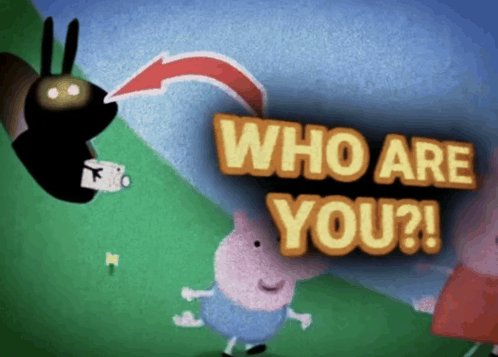 leo (working on comms) tweet media