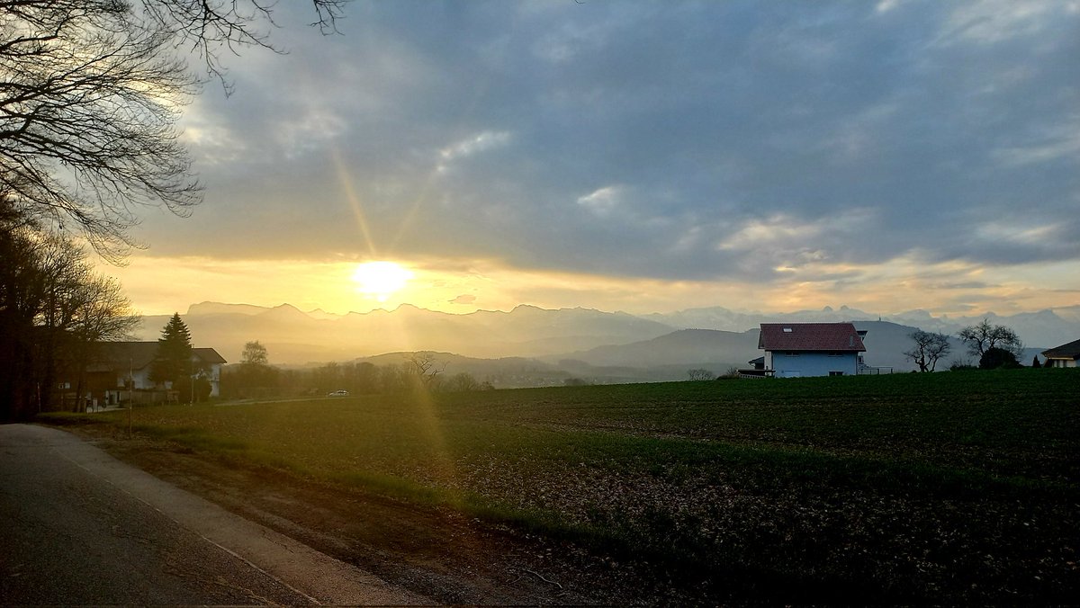 🏳️🌈✨ Lady Plume 🦋🪶NEW ALBUM MARCH 6🥀🎼 tweet media