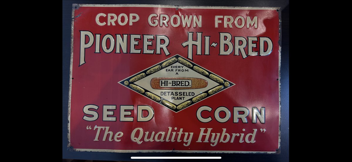 Dallas Choat tweet media