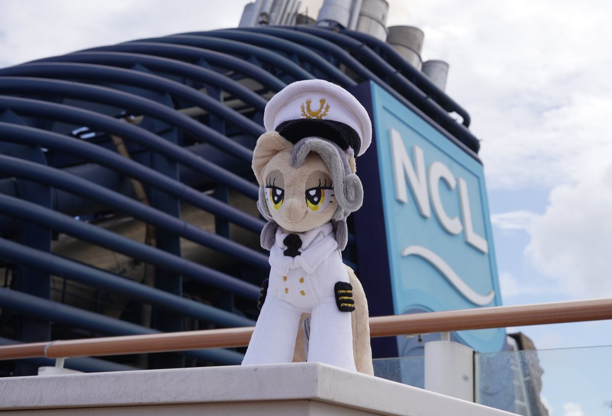 Pone Voyage tweet media