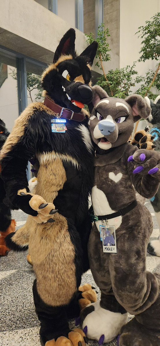 Mackie 🍃🔜 LVFC tweet media