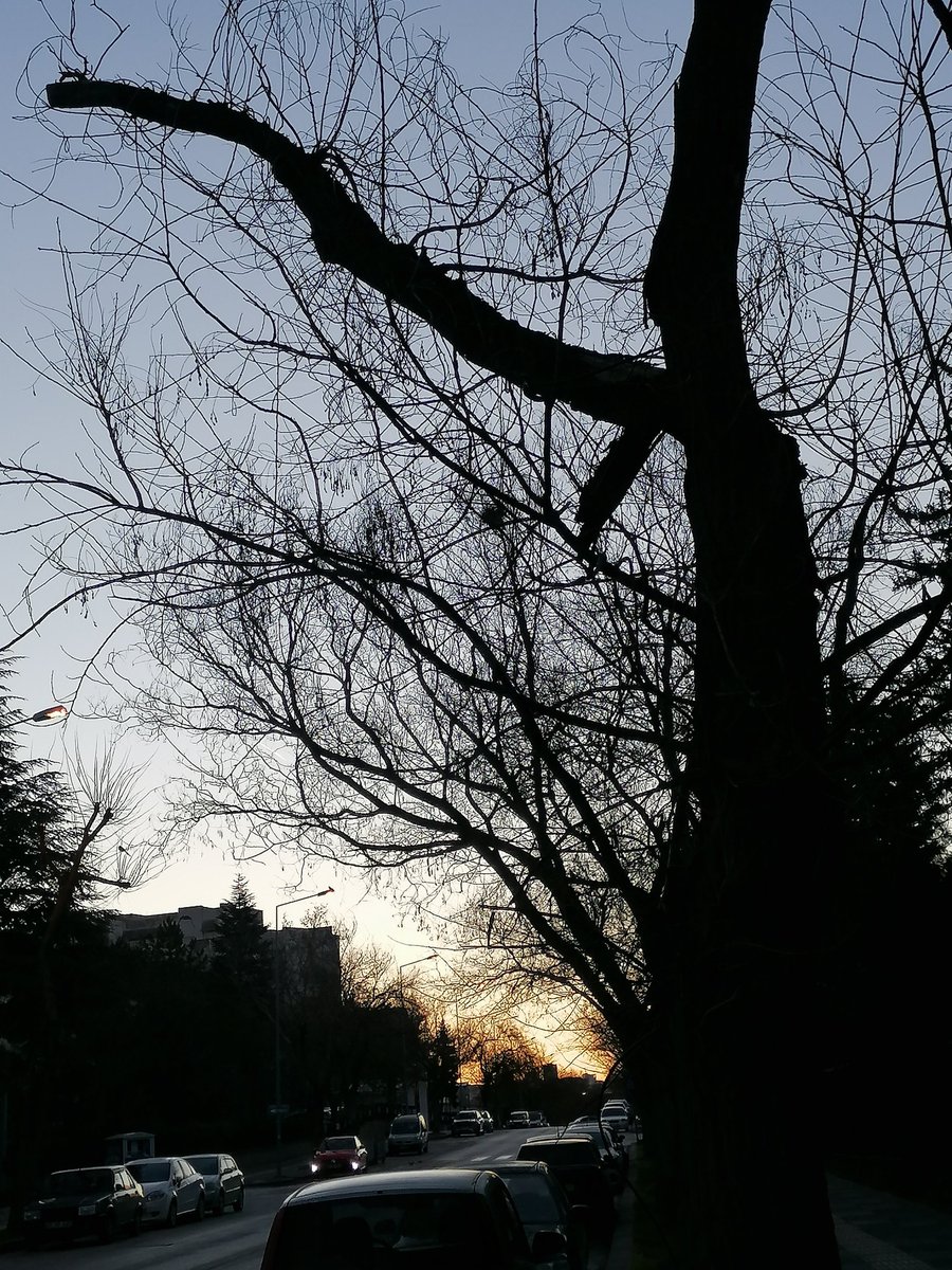 Verimay🍁 tweet media