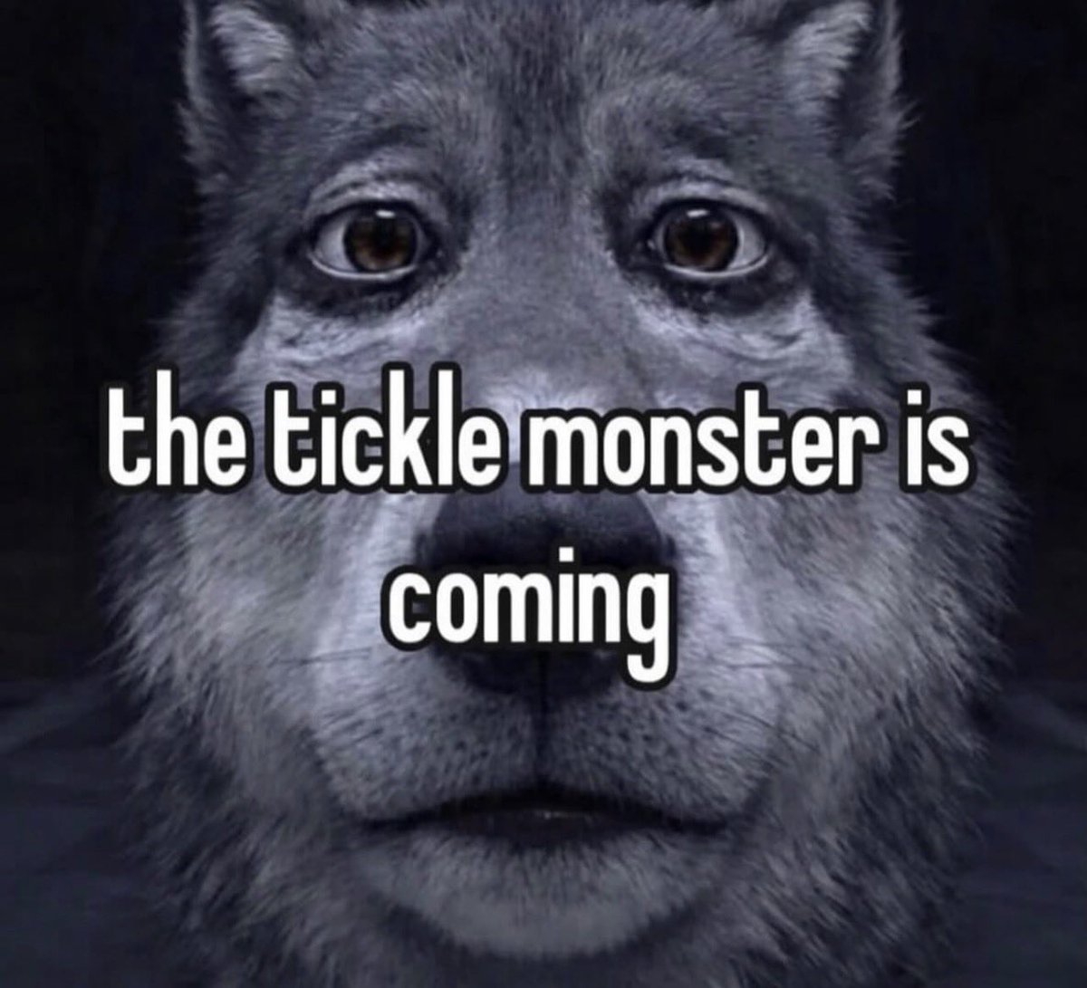 DeviantPigg tweet media