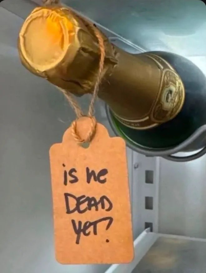 David Leavitt 🎲🎮🧙‍♂️🌈 tweet media