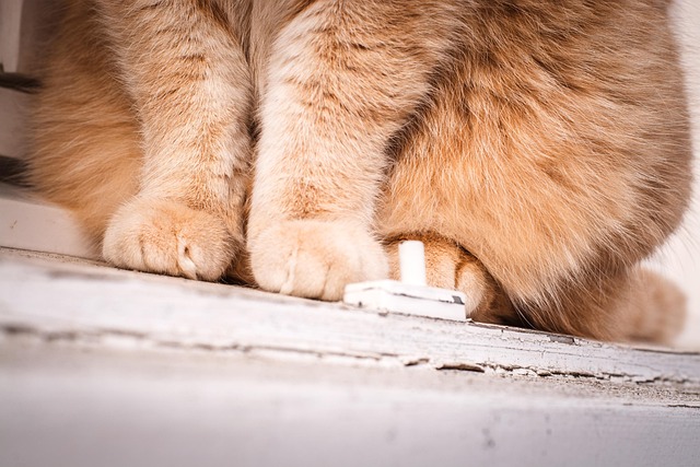 Holly Rogers tweet media