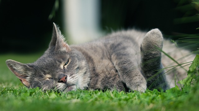 Samuel Redpath tweet media