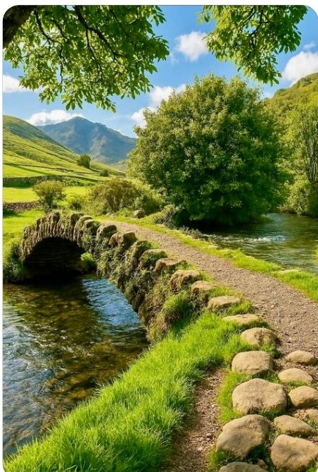 Günaydın sevgili ülkemin sevgili yurttaşları gününüz güzel geçsin iyilik iyidir 🌞🌴🌻🌿☕.