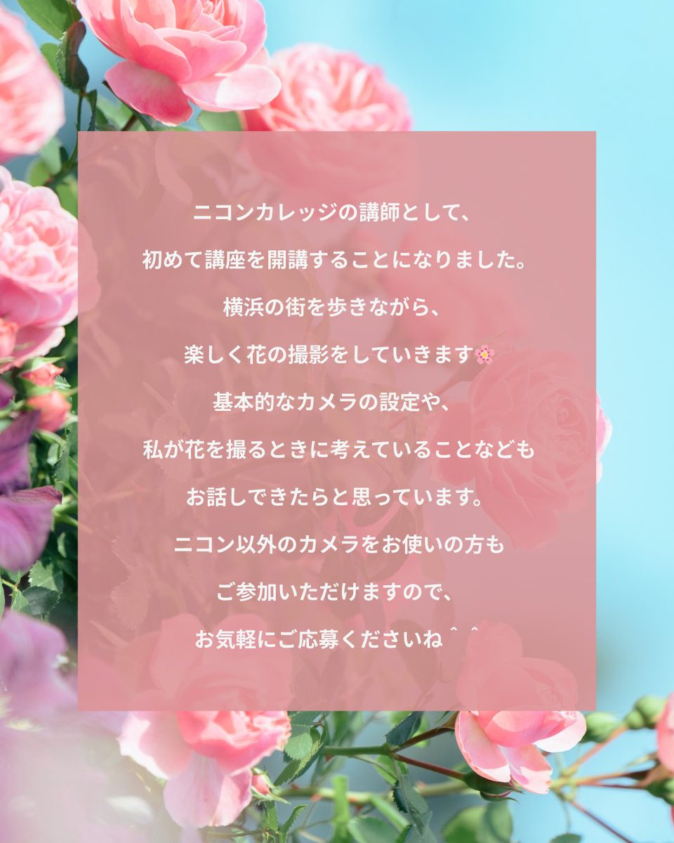 小春ハルカ| haruka koharu tweet media