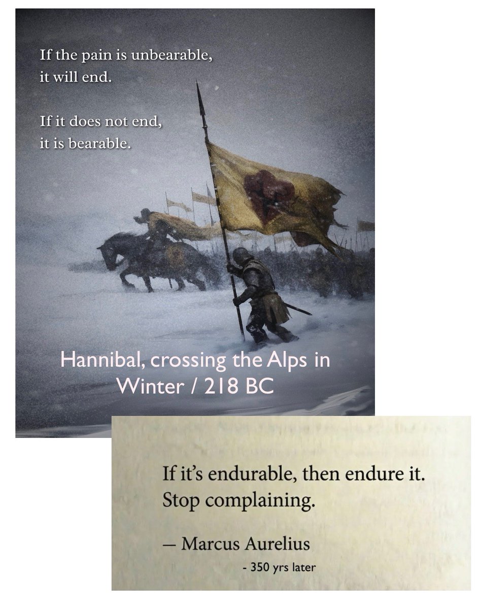 Synexdoche (@amor_fatti) on Twitter photo 