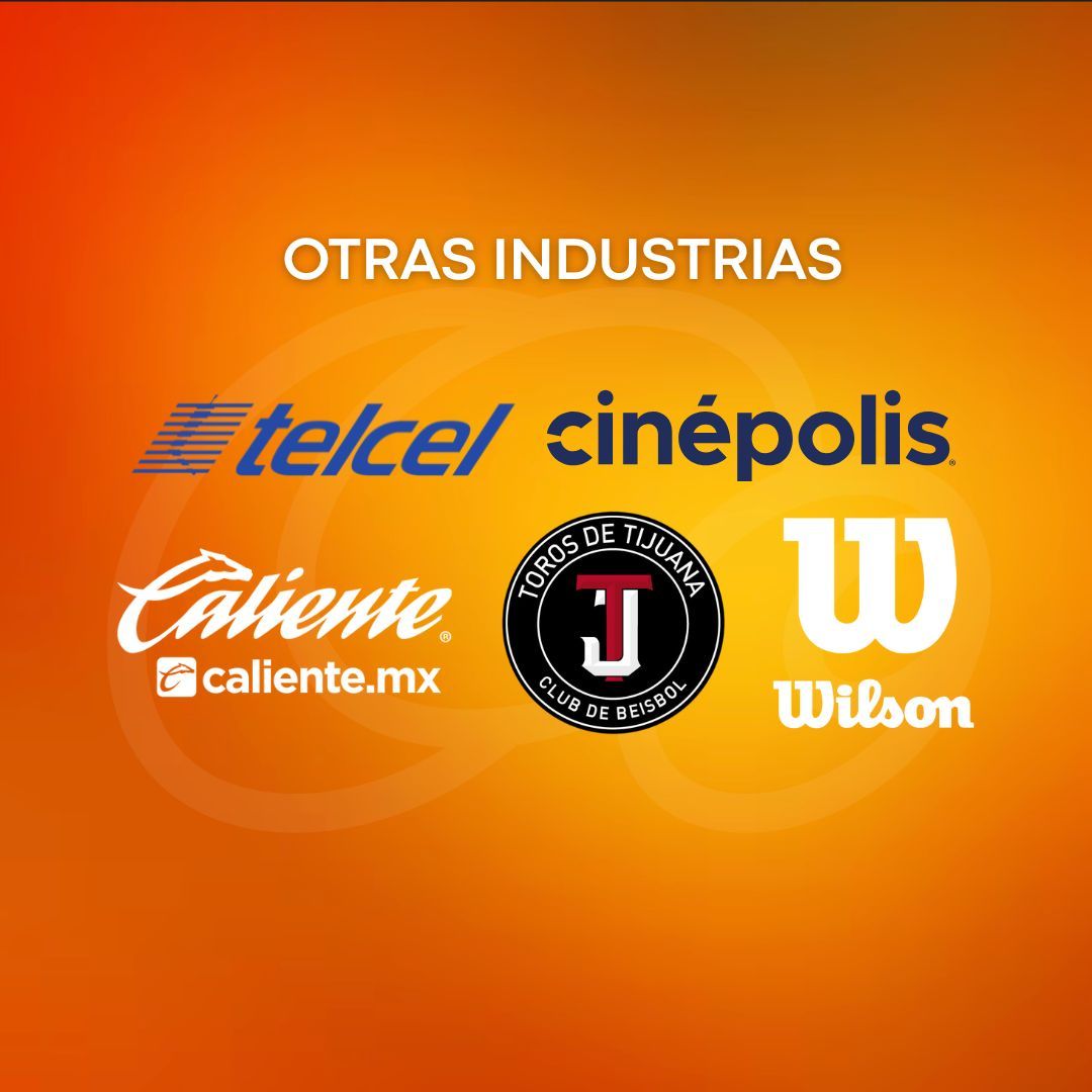 TestaMarketing's tweet photo. Más de 25 años de experiencia nos ha permitido estar involucrado en prácticamente todos los sectores. https://t.co/DnJZLc8ZwK