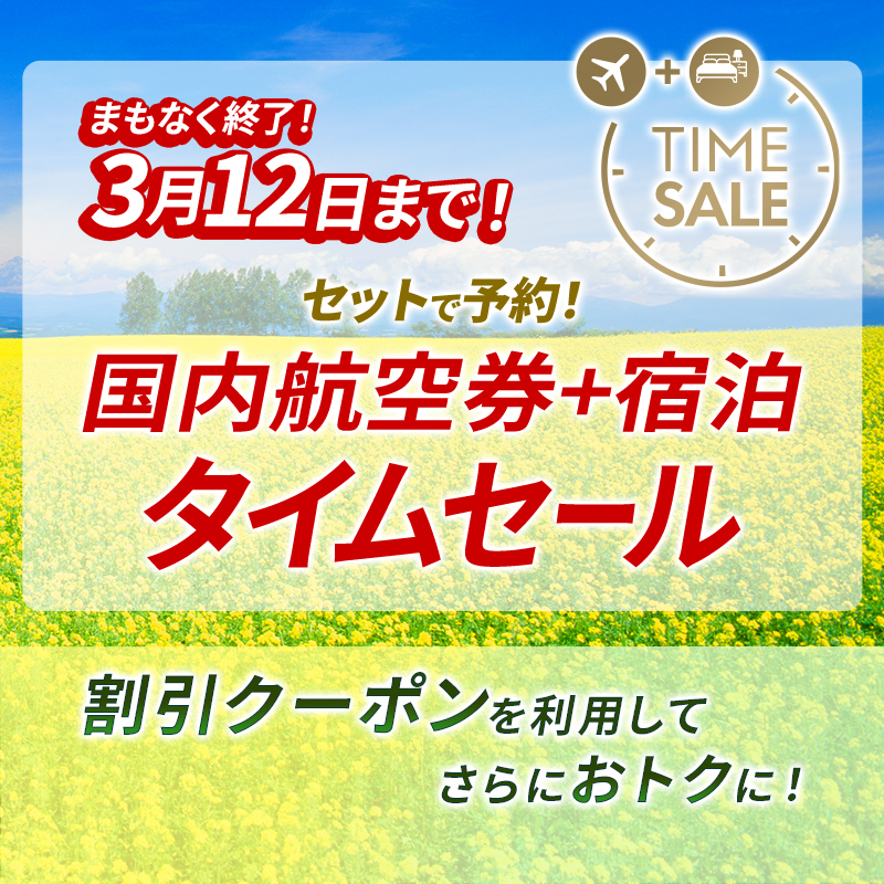 ⚠️タイムセール⚠️18888円➡︎15000円‼️絶対お得なPEライン付き‼️ ⏰Sale⏰＝＝＝＝＝＝ ✈️➕🏨をセットで予約！ 国内ツアータイム
