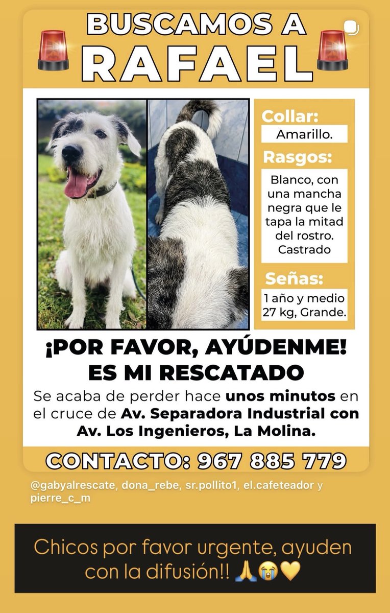 MerceJauregui's tweet photo. Porfavor compartir https://t.co/4D1ZdtJzEl
