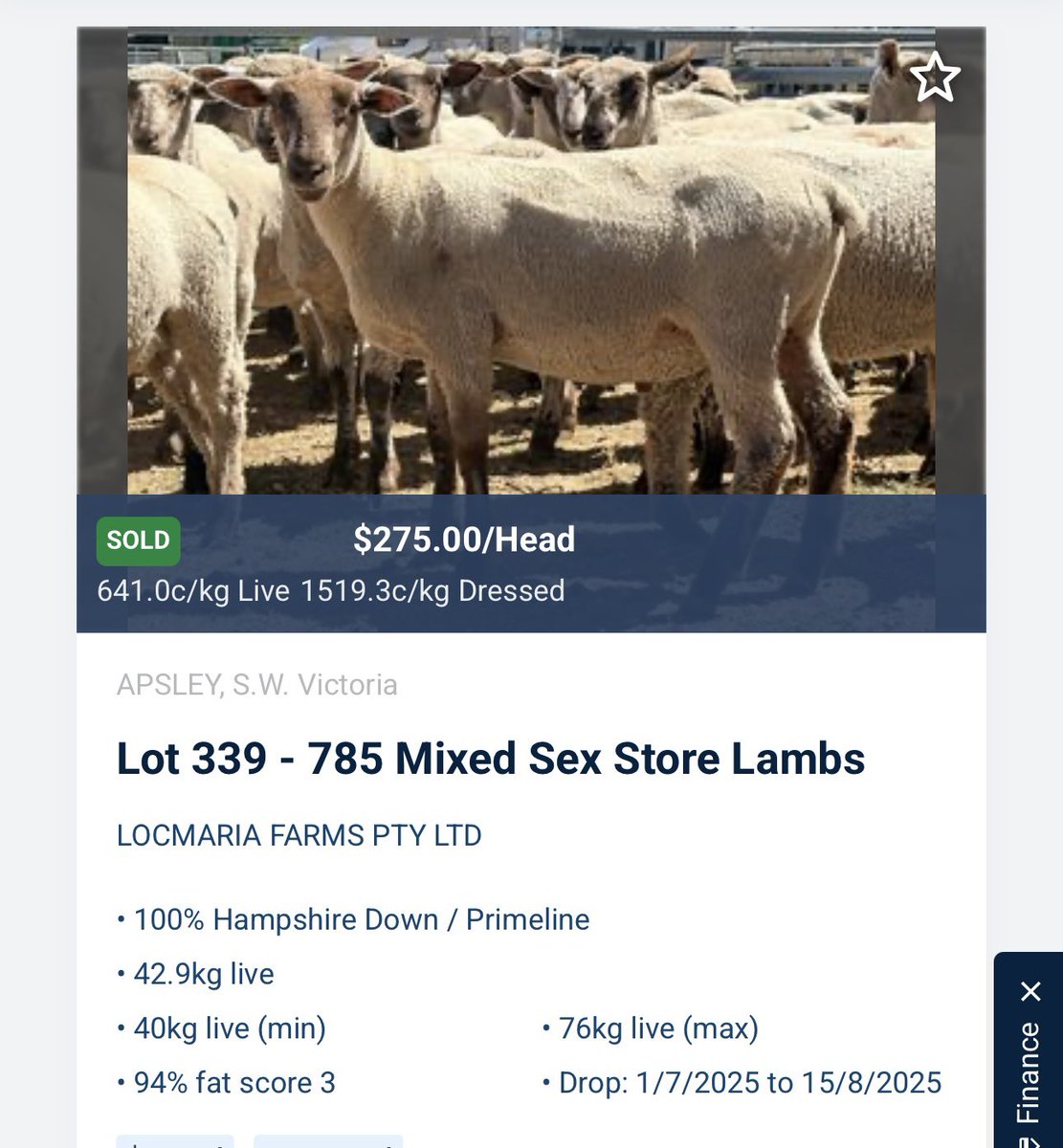 Tom Bull tweet media