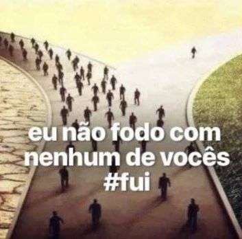 perfil dedicado a gatinhos e peitos (@odeiootaco) on Twitter photo 