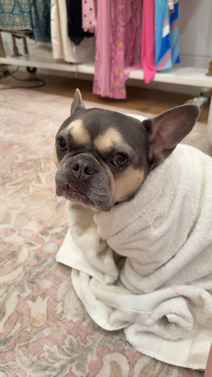 Rosanna Pansino tweet media