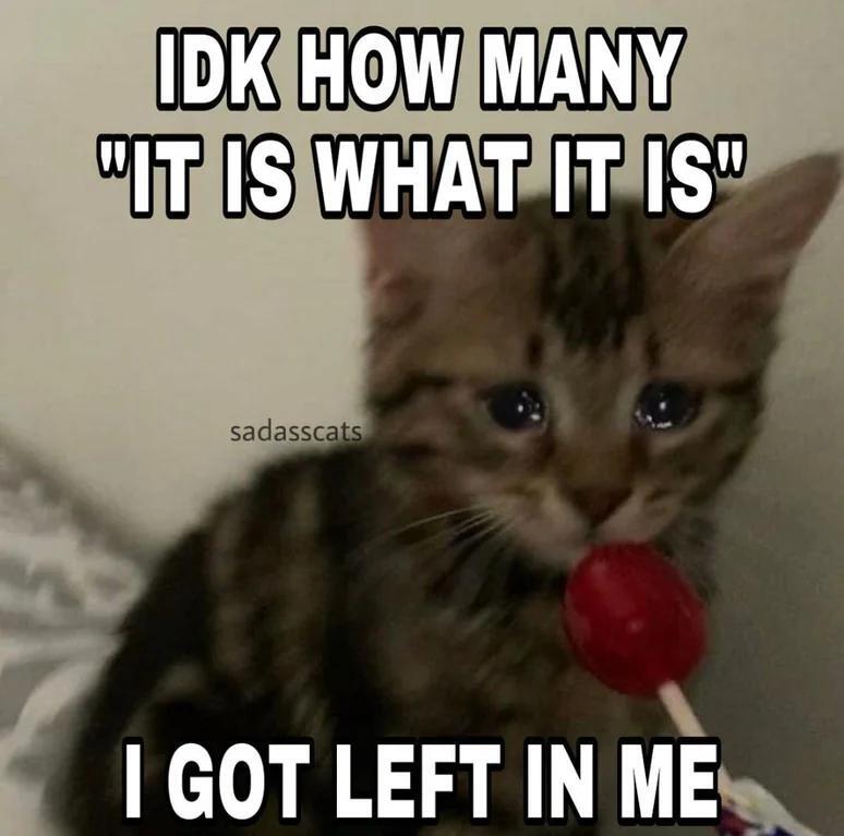 WholesomeMemes (@wholesomememe) on Twitter photo 