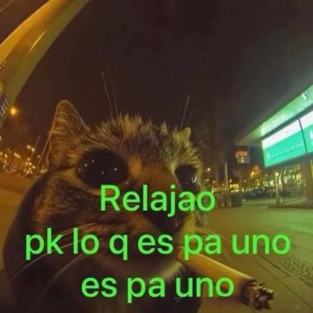 Mario Papeles tweet media