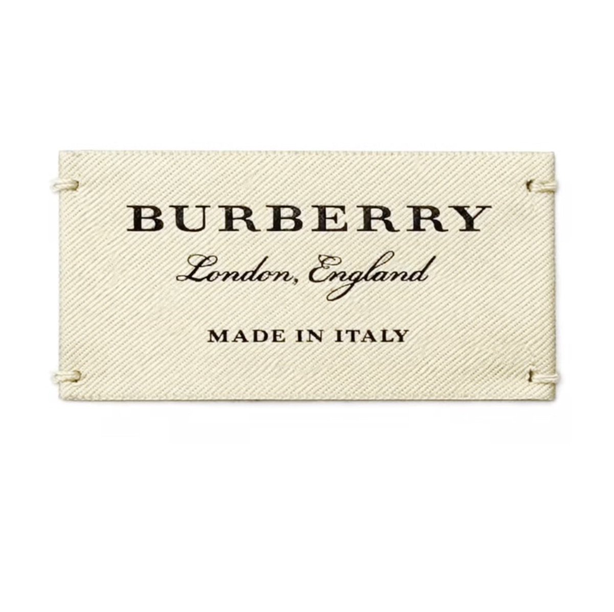 Downloaded tweet media