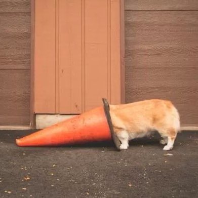 the most famous jouster in my empire