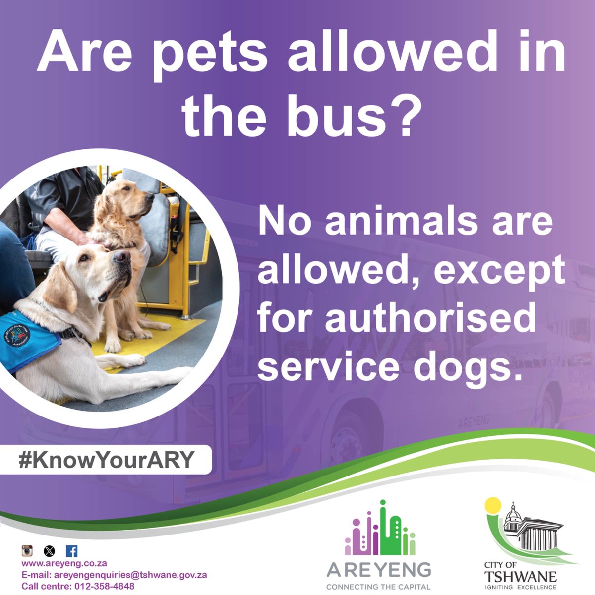 A RE YENG (@a_re_yeng) on Twitter photo 