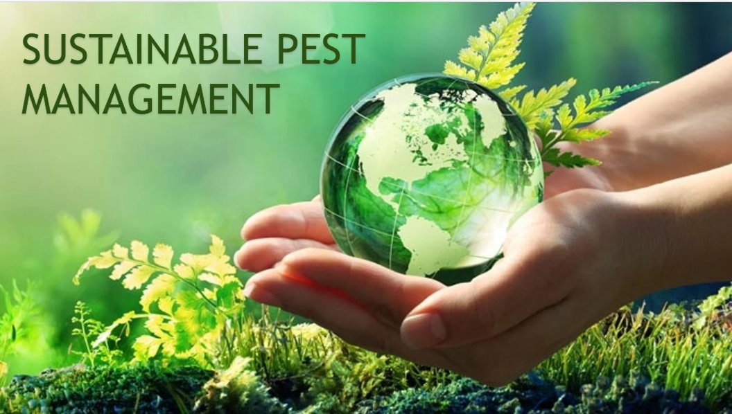 ExterraTermite's tweet photo. Enter now and lead the way
Ensystex is proud to sponsor the AEPMA Sustainability Award for the fourth year and the FAOPMA Sustainability Award for the third year, as well as the inaugural PMANZ Sustainability Award.

Entries close 6 April - https://t.co/XAM5LO42DC https://t.co/eingwjmZT1