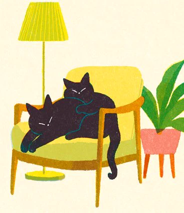 お昼寝 #illustration #cat