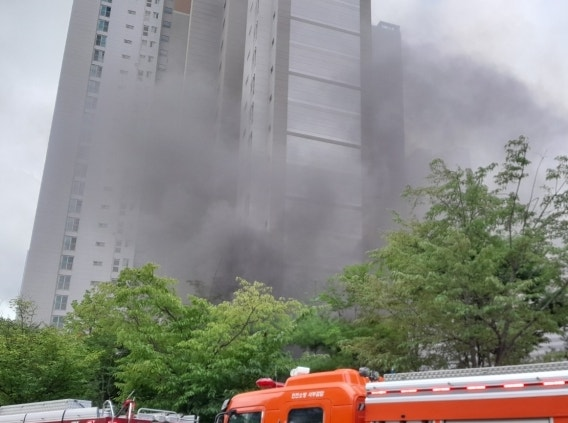 Tsla Chan tweet media