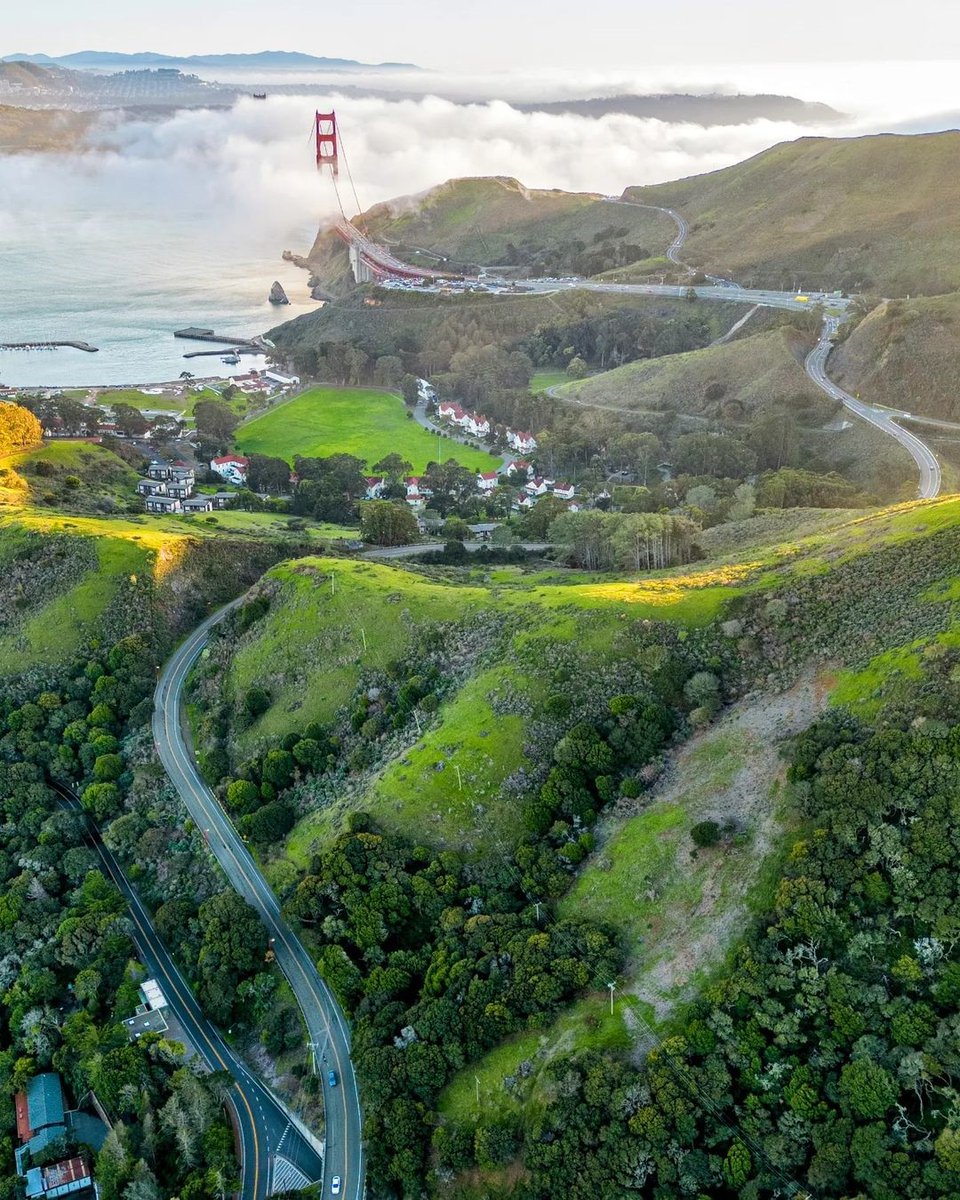 Land Lover tweet media