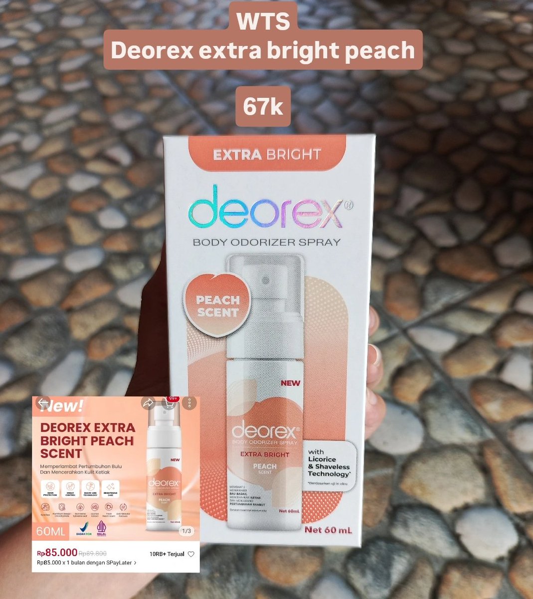 lile @ after dm tweet media