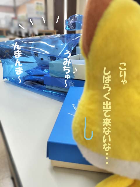おみやげじま🏝🏝さんど
＃京都新聞長岡京販売所
＃ひとえうさぎ
＃宮古島　＃さんど

＊きょうのひとえさん＊には全コマで掲載中🏝→ kyoto-hanbai.com/blogs/kyounohi…