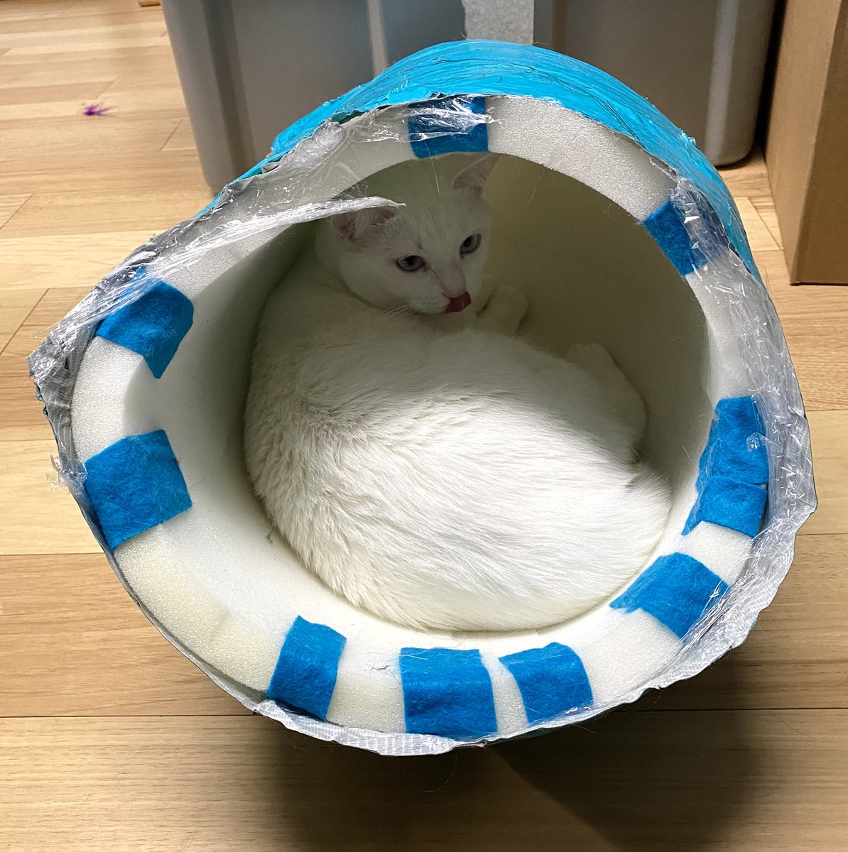 Magic Mage-y 🔜 ANW tweet media