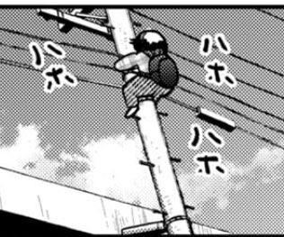 里見U🌟平成敗残兵すみれちゃん tweet media