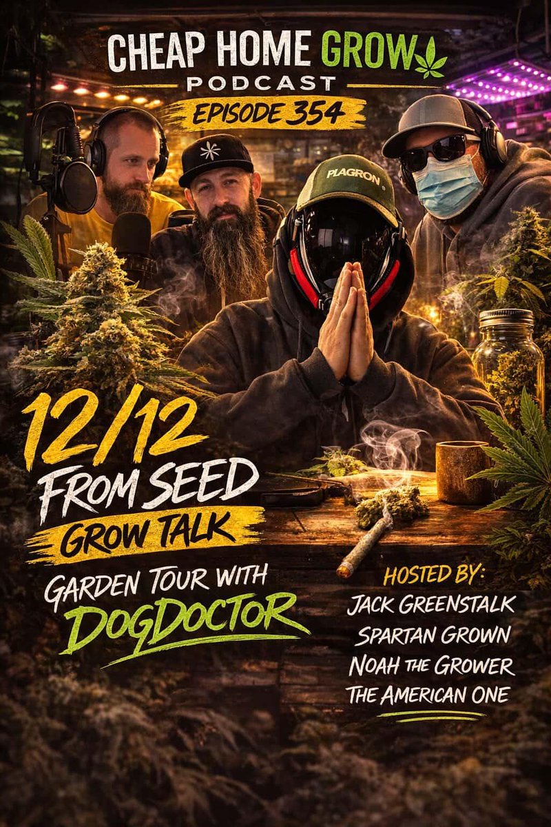 JackGreenStalk tweet media